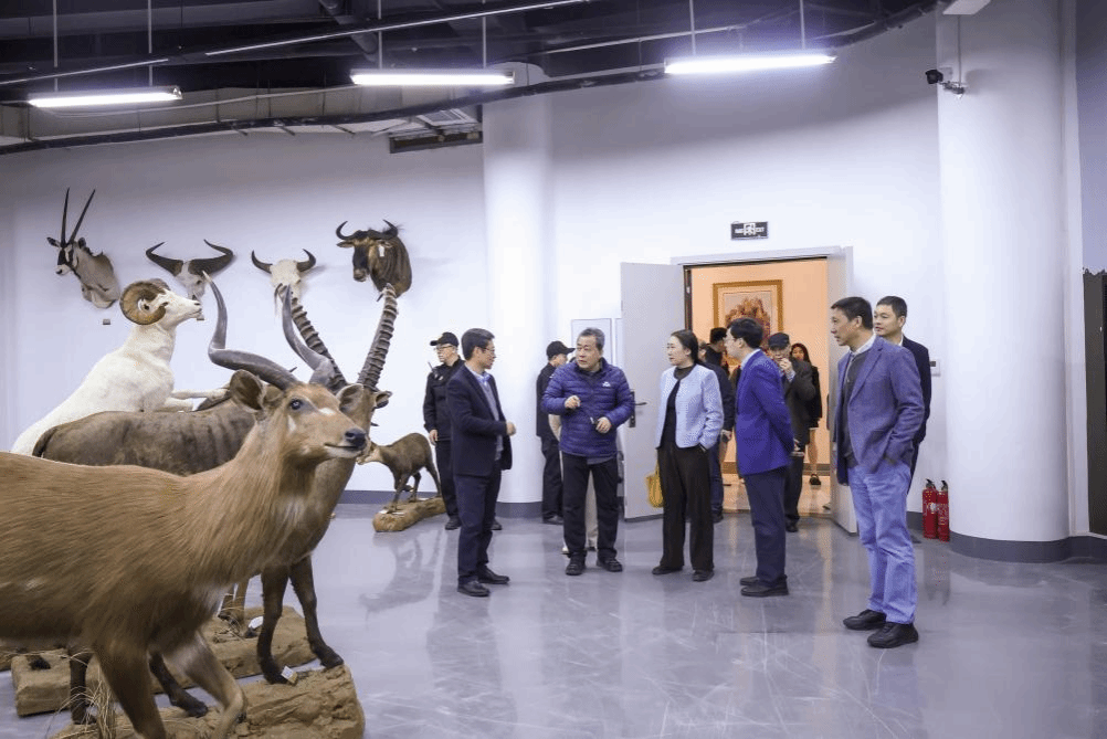 图片19.png 图片19.png