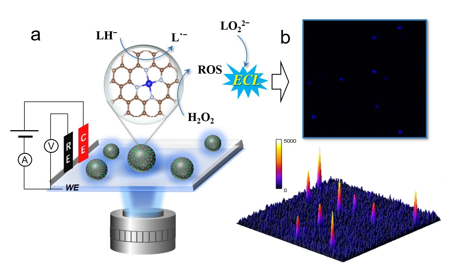 图片文件.jpg 图片文件.jpg