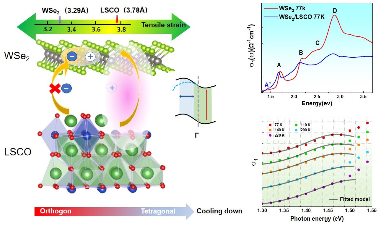 20250626-1.jpg 20250626-1.jpg