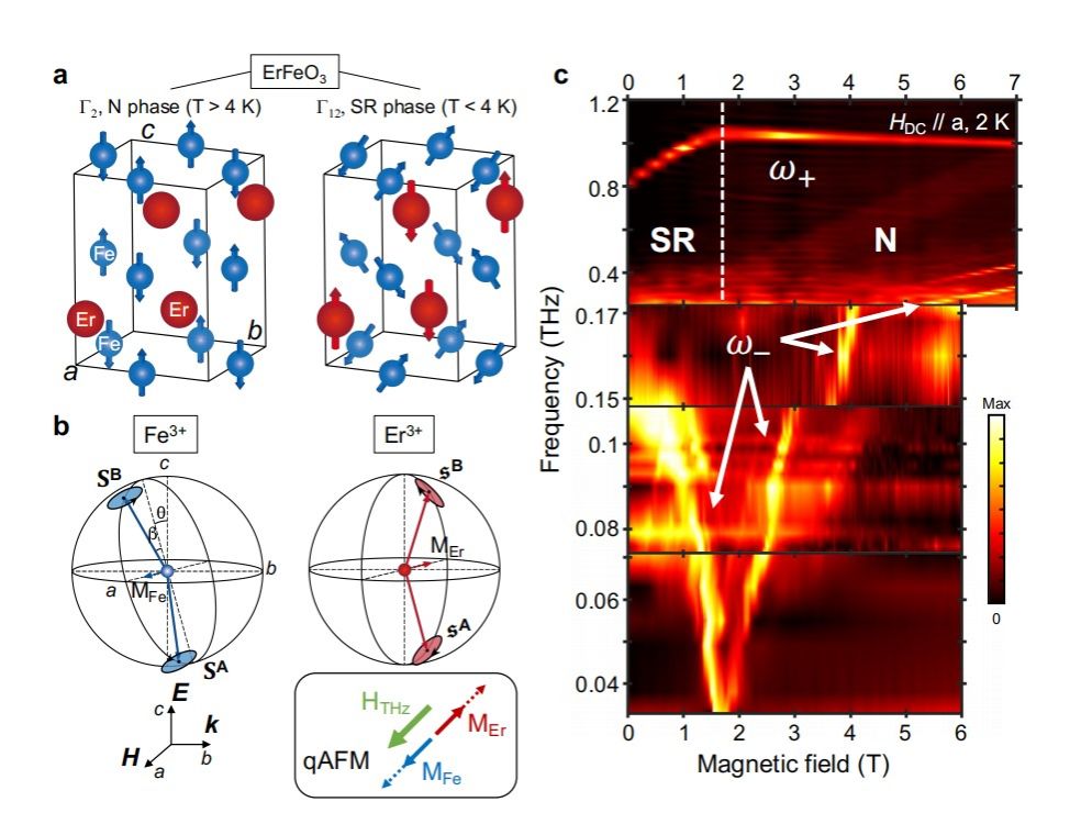 20250407-P1.jpg 20250407-P1.jpg